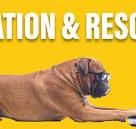 Information & Resources | Collier County, FL