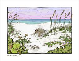 Florida pine flatwood (animals) forest animals. Color The Real Florida Florida State Parks