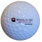 Foundation Annual Golf Outing
