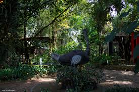 NAKHON RATCHASIMA Province