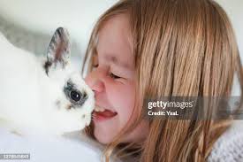 2,489 L Adoption Stock Photos, High-Res Pictures, and Images