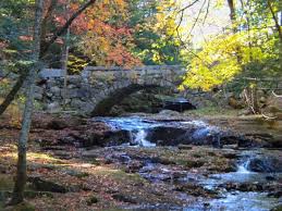 Vaughn Woods Hallowell Maine Maine Natural Landmarks Wilderness