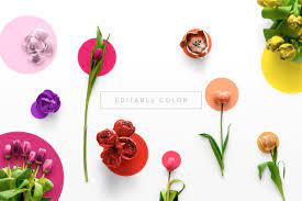 Flower Tulips Edition Custom Scene Custom Scene Flowers Branding Design Inspiration