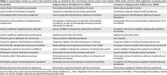 Image result for Eriocephalus luederitzianus