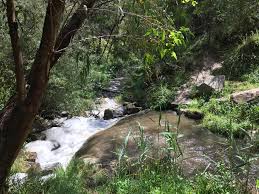In 1838, federal troops began forcing the native cherokee. Local Fauna Sweetwater Creek Nature Reserve