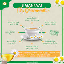 Maybe you would like to learn more about one of these? 8 Manfaat Teh Chamomile Yang Tidak Perlu Diragukan