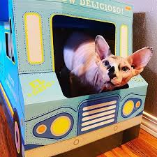 Maybe you would like to learn more about one of these? Boots Barkley S Taco Truck Cat Scratcher From Target Popsugar Pets