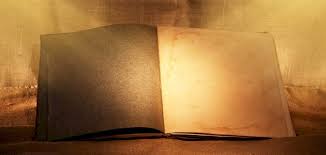 تتداخل الحدود بين التشبيه البليغ الإضافي ، و الاستعارة المكنية القائمة على تركيب إضافي ، مثل: Ù…Ø§ Ù‡Ùˆ Ø§Ù„ØªØ´Ø¨ÙŠÙ‡ Ø§Ù„Ø¨Ù„ÙŠØº Ø³Ø·ÙˆØ±