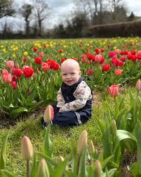 Strawberry Fields Farm Shop