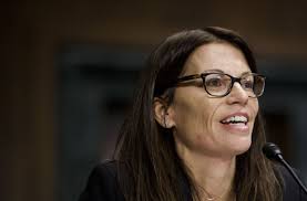 Elizabeth Burch's New Book 'The Pain Brokers' Details Scheme That Upended  Pelvic Mesh| Law.com