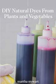 Natural Dyes From Plants And Vegetables Diy Dye How To Dye Fabric Natural Dye Fabric