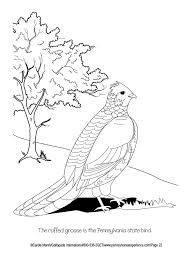 State bird (eastern goldfinch)  activity worksheet   coloring page state flower (wild rose)  activity worksheet   coloring page state bird and state flower coloring page. Pennsylvania Coloring Book Grades Prek 3 Carole Marsh 9780793395910 Christianbook Com