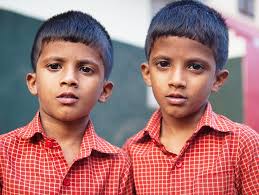 Reincarnation Research