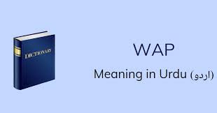 Wap Meaning In Urdu Wap Definition English To Urdu