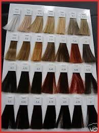 L Oreal Inoa Hair Color Chart Hair Color Chart Loreal Hair Color Loreal Hair Color Chart