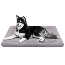 Enjoy free shipping on most stuff, even big stuff. Joicyco Extra Large Dog Bed Crate Mat 47 In Anti Slip Washable Soft Mattress Kennel Pads Dogly