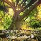 Forest Bathing (Shinrin Yoku) | Let Nature event image