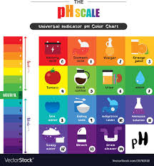 Please enter at least 6 characters. The Ph Scale Universal Indicator Ph Color Chart Diagram Acidic Alkaline Values Common Substances Vector Illustr Human Body Systems Science For Kids Color Chart