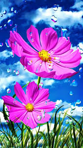 Chin Tran Cvetochnye Kartiny Narisovat Cvety