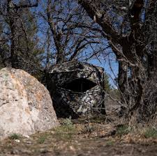 Maybe you would like to learn more about one of these? Ascent Ground Blind W Backpack Dsx Camo Hunt Xenek