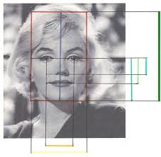 Résultat de recherche d'images pour "nombre d'or corps humain"