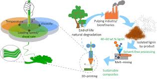 Maybe you would like to learn more about one of these? A Path For Lignin Valorization Via Additive Manufacturing Of High Performance Sustainable Composites With Enhanced 3d Printability Science Advances