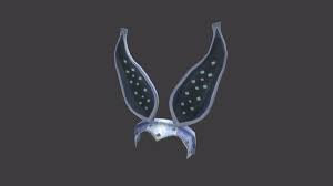 Admin september 13, 2020 comments off on creatures of sonaria good auto farm. Roblox Promo Codes List May 2021 Free Clothes Items Noticias De Tecnologia