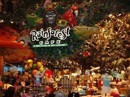 Rain Forest Cafe At Mgm Grand Hotel And Casino Vegas Vacation Las Vegas Trip Vegas Attractions