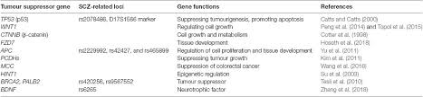 Home of alipr, simplicity, alip, spe, and other projects. Frontiers Double Edged Sword Of Tumour Suppressor Genes In Schizophrenia Molecular Neuroscience