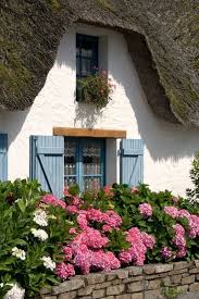 Hydrangeas Before Thatched Cottage Hortensien Vor Haus Mit Rieddach By Ralf Rosendahl On Artflakes Com As Poster Or Art Hortensien Steinhauser Cottage Garten