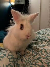 Que faire dans l'Oise