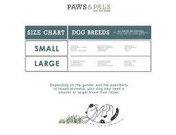 Paws Pals Airline Approved Pet Carrier Soft Sided