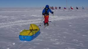 Pin De Kevin Klaeren En Icetrek Sled And Pulk Harnesses