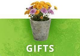 See more of cadence academy preschool, fayetteville on facebook. Green Side Up Garden Gifts Plant Care Fayetteville Nc