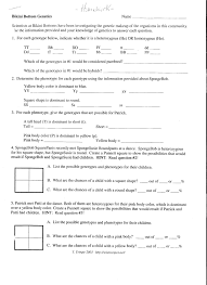 Spongebob genetics google search biology biology classroom. Bikini Bottom Genetics Answers Bedrin Eu