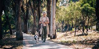 Et puis, vous aurez l'impression qu'une heure. J Ai Teste 10 000 Pas Par Jour Pendant Un Mois