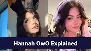 Who Is Hannah OwO? The E-Girl Behind Sorry I Dont Talk In An UWU Voice  Explained | Know Your Meme