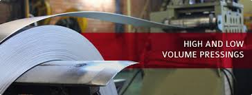 Image result for Selago dinteri