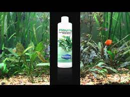 In that case, your plants simply can't compete with the algae, because of inefficient photosynthesis processes. Black Hair Algae Youtube