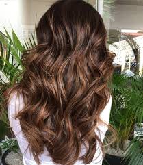 Hair color changing is far from a new discovery. Dark Brown Hair Styles With Highlights And Lowlights