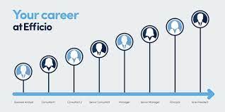 Inventory analysis and supply chain optimization services included detailed problem solving, technical details & data, knowledge sharing, and detailed supply chain analyst: Build Your Career Efficio Uk