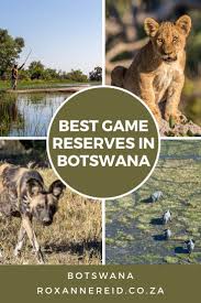 Best Botswana Game Reserves For A Wildlife Safari Roxanne Reid Wildlife Safari Game Reserve Botswana Travel