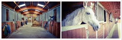 1) the more horse stalls the merrier. Stable Yard Design The Ultimate Guide To Creating A Dream Horse Barn