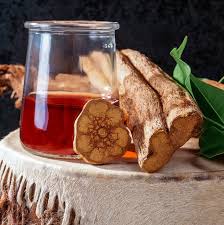 Ayahuasca: remédio ou droga? Conheça os riscos do consumo do chá