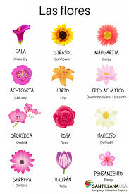 Las Flores Learning Spanish Spanish Learning Activities Spanish Language Learning