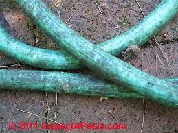 You can also use this technique to clean siding, as well as sealed brick and patio stones. Photographic Guide To Mold On Plastic Or Rubber Garden Hose Mold On Glass Surfaces Such As Window Panes Mold On Hardboard Used Indoors Mold On Houseplants Mold On Insulating Boards And Sheathing