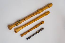 Screen recorder & webcam recorder. 12 Performances By Professional Recorder Groups Plus Music Facts Spinditty Music