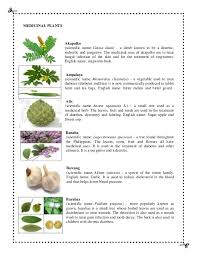 Herbal Medicine And Their Uses And Scientific Names 638x826 Jpeg Medicinal Herbs Herbal Medicine Herbalism