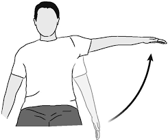 Image result for Shoulder Range of Motion Exercises