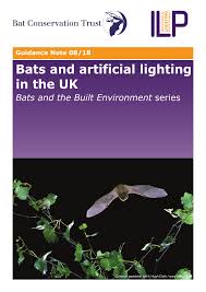Maths grade 7 calculating percentage increase and decrease. Pdf Bats And Artificial Lighting In The Uk